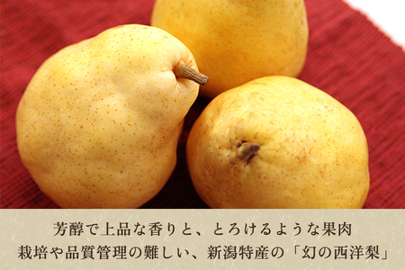 【2024年】【訳あり】西村の黒酢ミネラル栽培「ル・レクチェ」（小玉） 2kg（8～9玉）《11月下旬順次発送》