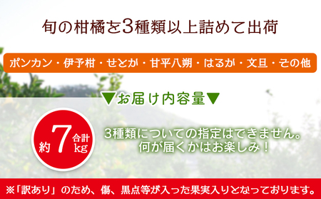＜旬の訳あり柑橘詰め合わせ 約7kg＞ みかん ミカン 家庭用 果物 フルーツ おいしい 甘い オレンジ 柑橘類 ご自宅用 おまかせ 特産品 あけはま 明浜産 浜のみかん屋 愛媛県 西予市【常温】『2025年2月上旬～3月下旬迄に順次出荷予定』AHM0025