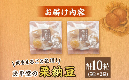 【スピード配送】栗納豆 5粒入 2箱 / 恵那市 / 良平堂 [AUDB033] 栗納豆