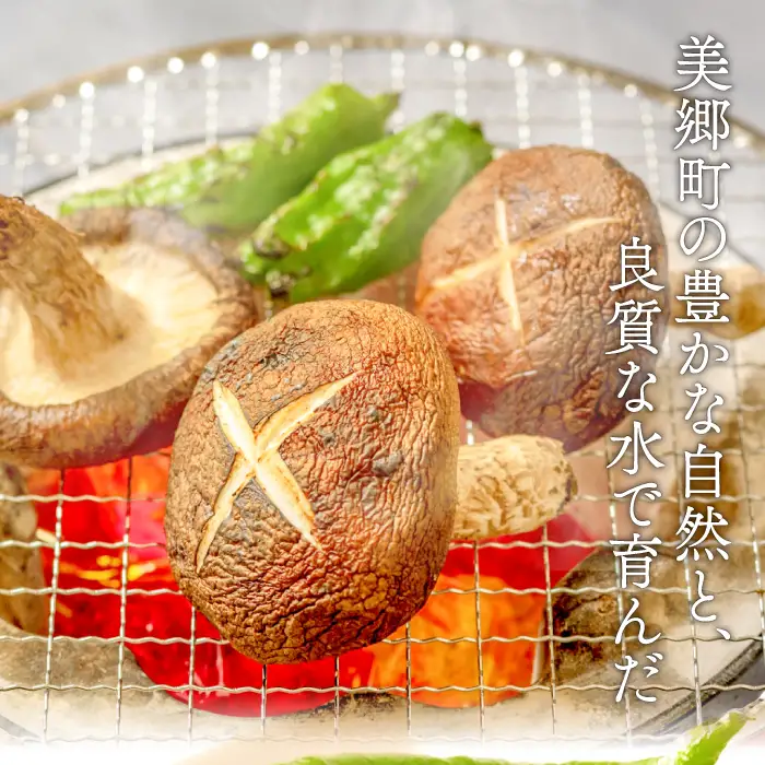 菌床しいたけ　かご入り