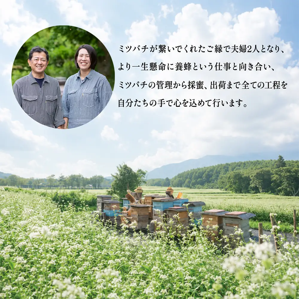 国産 非加熱はちみつ そば（300g×1本）｜ 純粋 天然 稀少 長期保存 「大西養蜂場」