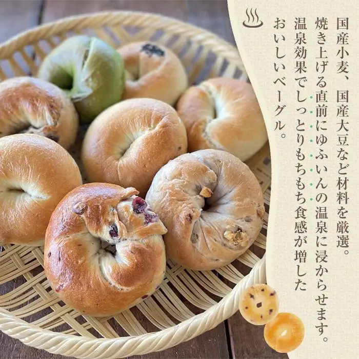 ＜２か月に１度のお届け！全3回 定期便＞おんせんベーグル【10種類10個！】～ゆふいんの汲みたて温泉水を使ったつるつるもちもちのベーグル～
