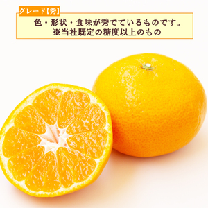 【予約受付】 秀品 寿太郎 みかん 5kg 