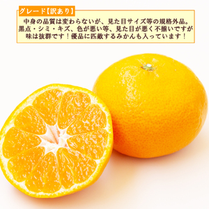 【予約受付】 訳あり 寿太郎 みかん 3kg みかん
