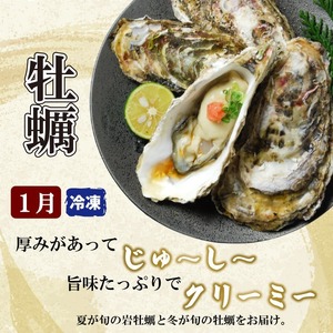 定期便 6回 お楽しみ 野島水産 | 魚貝定期便 海鮮定期便 6ヶ月定期便 魚介定期便