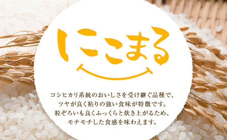 令和7年産 米 にこまる ひのひかり 食べ比べ 約10kg ( 各 5kg ) こめ コメ 白米 上田農園《30日以内に出荷予定(土日祝除く)》 熊本県 荒尾市