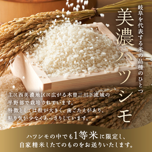 2025年産米　美濃ハツシモ　1等米8kg（2kg×4袋）【0021-007】 