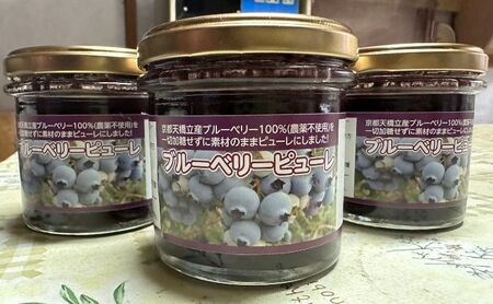 ブルーベリーピューレ 3個セット ピューレ フルーツソース ブルーベリー100% 無糖 ヨーグルト パン 宮津市 京都 myz06 myz08 myz11 myz19 myz20 myz21 myz22 myz24 myz26