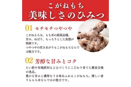 もち米『こがねもち』 1.5kg  (約1升) 新潟県産 【令和7年産】つやつやモチモチ もち米ならではの芳醇な香り 百姓や伝六 1等米【もち米 餅 赤飯 おこわ ふるさと納税 米 ブランド米 黄金餅 もち米 2025年産】
