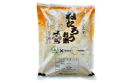 ねたろうさんのお米（金のいぶき玄米） 5kg 玄米 金のいぶき ご当地 グルメ 食品 F6L-1064