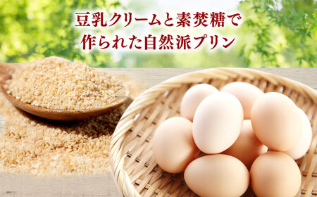 プリン 【平飼い自然卵の濃厚プリン】豆乳クリームプリン 6個セット　島根県松江市/かふぇかなちゃん家[ALGS002] プリン プリン