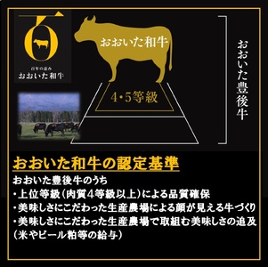 おおいた和牛入ハンバーグ8個_B172-008
