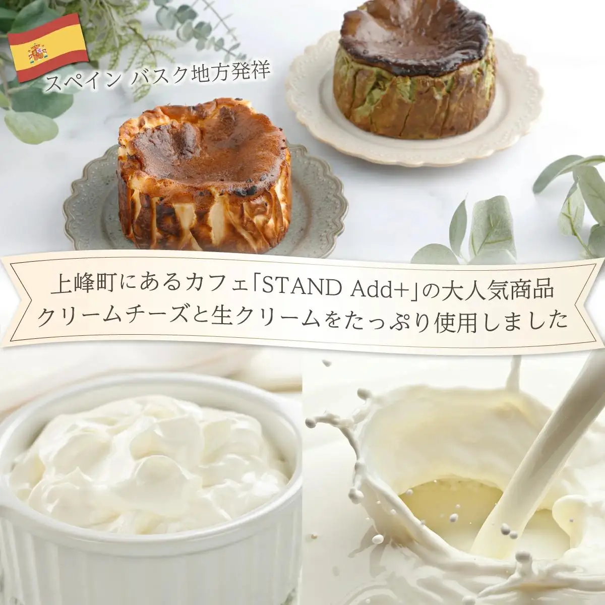 濃厚バスクチーズケーキ プレーン [B-1190-SP_001]