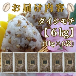 CIB99_佐賀県産『もち麦』６kg(１kg×６袋)【ダイシモチ】