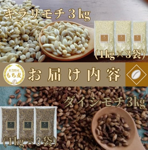 CIC02_佐賀県産『もち麦』食べ比べ！キラリモチ３kg、ダイシモチ３kg（計６㎏）