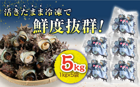 対馬産 天然冷凍サザエ 5kg さざえ サザエ 刺し身 海鮮 貝 [WAA040]