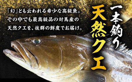 【全4回発送月固定定期便】対馬産 天然 クエ鍋セット 鍋 水炊き 海鮮 [WAB014] くえ クエ鍋