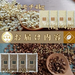 CIC03_佐賀県産『もち麦』食べ比べ！キラリモチ４kg、ダイシモチ４kg（計８㎏）