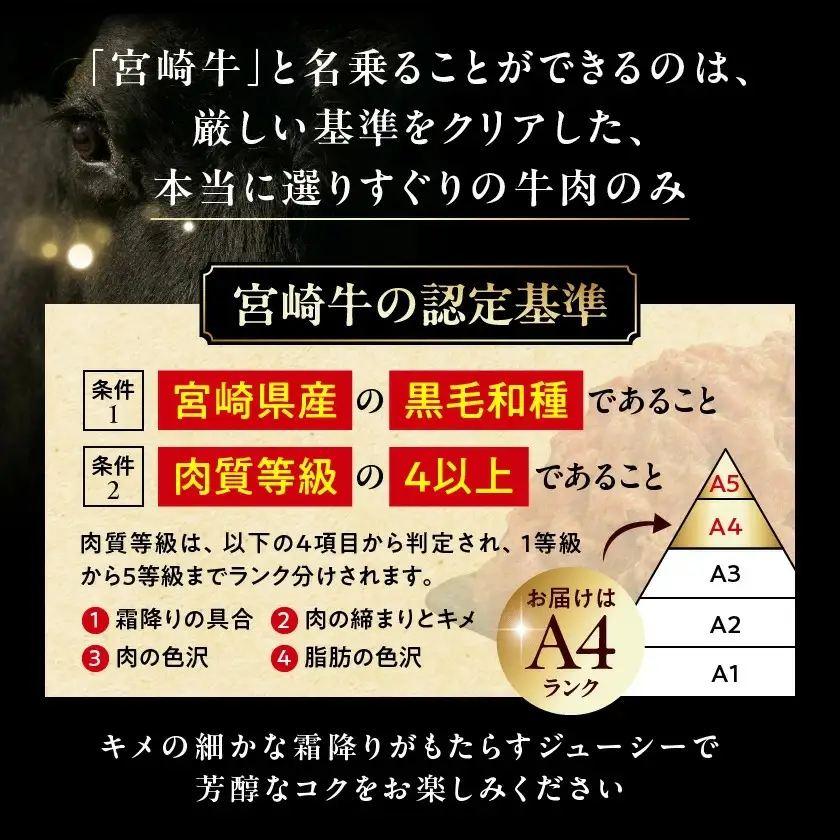 宮崎牛霜降りカルビ焼肉800g〔AD-2602〕_(都城市) 宮崎県産黒毛和牛 宮崎牛 A4ランク 4等級 牛肉 霜降りカルビ 400g×2P 計800g 宮崎牛バラ肉 牛ロース肉 焼肉