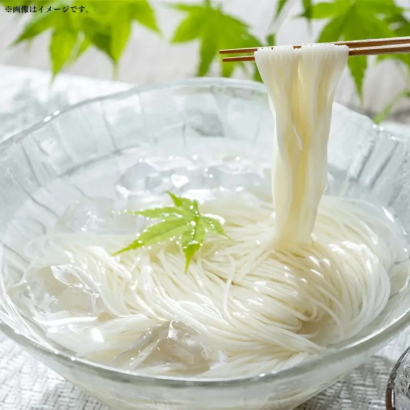 手延べそうめん - 素麺 そうめん 麺 冷麺 温麺 赤穂塩 手延 手延べ 熊本県 甲佐町 肥後そう川【価格改定】