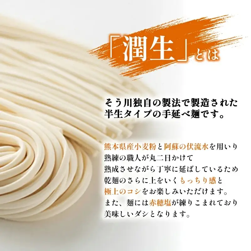 潤生うどん８食入り - 麺 800g 饂飩 国産小麦 麺類 乾麺 早茹で つゆ付 つるつる もちもち 潤い 再熟成 こだわり 製法 ざるうどん 冬 温うどん 一年中 楽しめる 人気 おすすめ 熊本県 甲佐町 肥後そう川