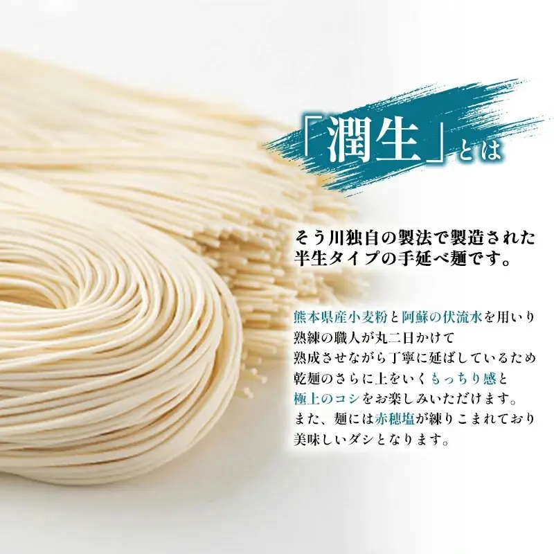 潤生そうめん8食入り - 麺 800g 素麵 国産小麦 麺類 乾麺 つゆ付 潤い 生に戻し 再熟成 こだわり 製法 手延べ にゅう麵 一年中 楽しめる 人気 おすすめ 熊本県 甲佐町 肥後そう川【価格改定ZA】