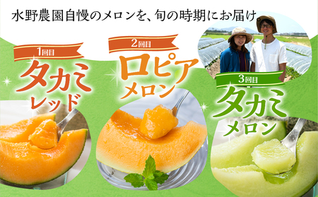 【定期便】《先行予約》 メロン堪能定期便 3回  水野農園