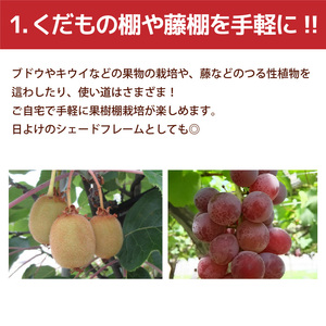 daim ガーデンアグリ果樹棚セット 2m×2m 藤棚・ぶどう棚 [H-18402]