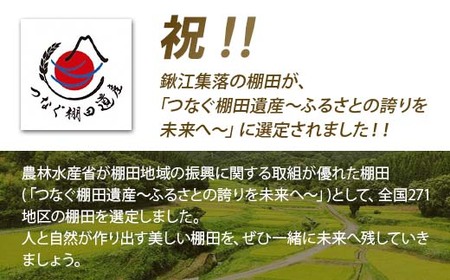棚田米きんのあき3kg 新潟県胎内市鍬江集落産 コシヒカリ 特別栽培米