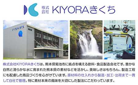 THE KIKUCHI WATER 500ml×30本 合計15L 水 飲料水 ミネラルウォーター シリカ 飲料《90日以内に出荷予定(土日祝除く)》天然水 飲料水 ミネラルウォーター シリカ含有 アルミパウチ パウチ 国産 九州産 熊本県産 菊池市産 送料無料