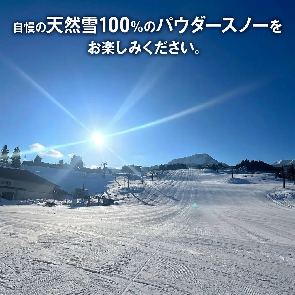 キューピットバレイ リフト親子ペア1日券 リフト券 スキー