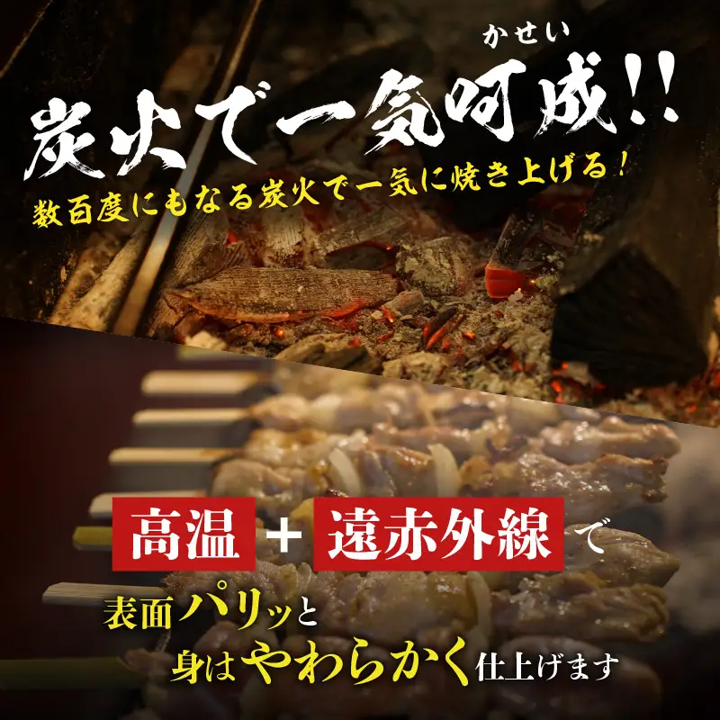 老舗やきとり鳥市 の 室蘭 焼き鳥 5種セット（ 秘伝タレ ） T065-002 惣菜 総菜 加工食品