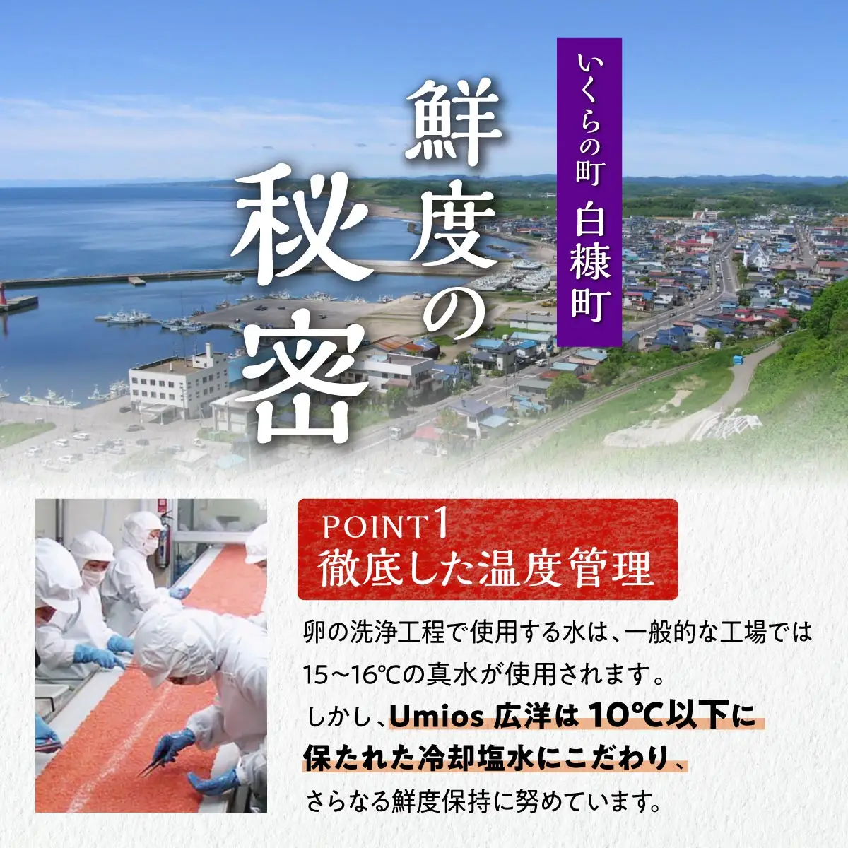 いくら醤油漬（鮭卵） 1.6kg(200g×2パック×4箱)_K088-1678