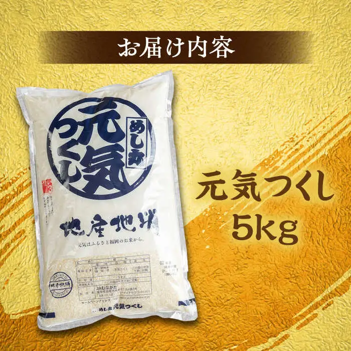 福岡産ブランド 米 元気つくし 5kg 桂川町/南国フルーツ株式会社 [ADBW026] 米 白米 5kg 