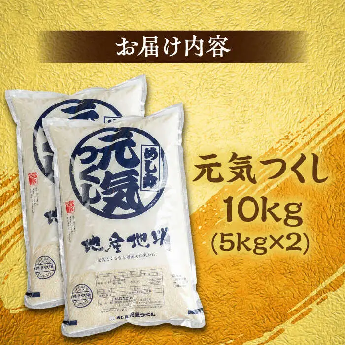 福岡産ブランド米 元気つくし 10kg (5kg×2袋) 桂川町/南国フルーツ株式会社 [ADBW027] 白米10kg 米10kg 精米