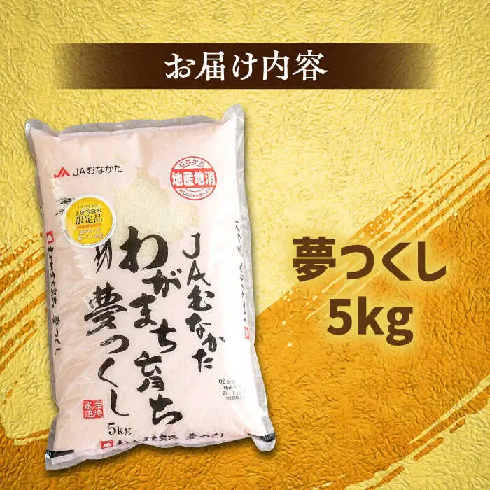 福岡産ブランド 米 夢つくし 5kg 桂川町/南国フルーツ株式会社 [ADBW028] 米 白米 5kg お米 