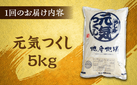 【全3回定期便】福岡産ブランド米・元気つくし5kg 桂川町/南国フルーツ株式会社 [ADBW030] 米 白米 5kg お米 精米 5kg お米 5kg 白米 5kg 定期便