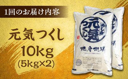 【全3回定期便】福岡産ブランド米・元気つくし5kg×2袋 桂川町/南国フルーツ株式会社 [ADBW033] 白米10kg 米10kg 精米10kg 白米10kg 米10kg 精米10kg