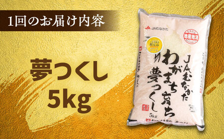 【全6回定期便】福岡産ブランド米・夢つくし5kg 桂川町/南国フルーツ株式会社 [ADBW037] 