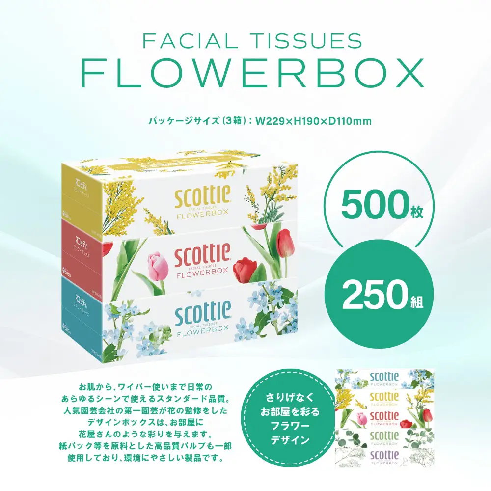 スコッティ ティッシュ 250組 3箱 ティシュー