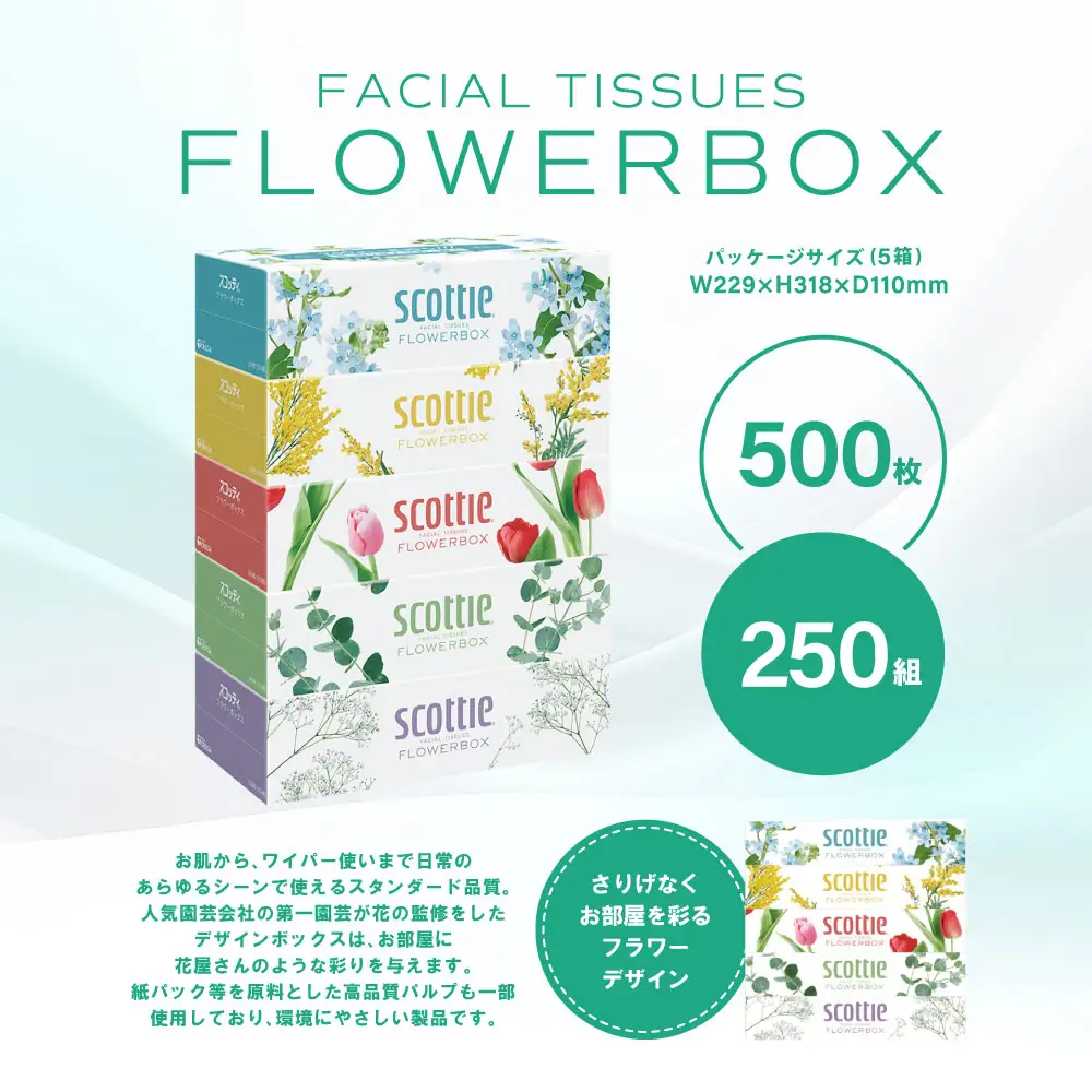 スコッティ ティッシュ 250組 5箱 ティシュー
