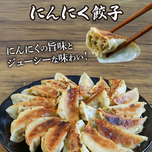 餃子3種 180個 (にんにく&しょうが&丹波とりしそ) 京都餃子 餃子餃子餃子餃子餃子 236