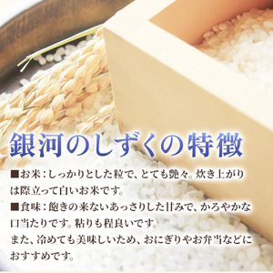 【 令和6年産 新米 】 岩手 ブランド 米 銀河のしずく 10kg せいぶ農産米【農薬節約栽培】岩手県 北上市 E0258 国産 お米 こめ ご飯