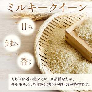 【 定期便 / 12ヶ月 】農薬節約栽培 せいぶ農産米 ミルキークイーン （ 5kg ）西部開発農産 岩手県 北上市 P0112 米 お米 ごはん ご飯 ふっくら 弁当 新米 炊きたて 白米