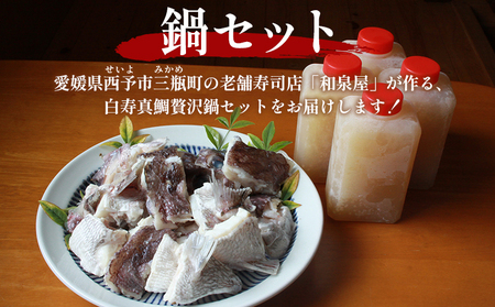 ＜お寿司屋さんが作った白寿真鯛 贅沢鍋セット ～愛媛の極みを味わう～ 5人前＞ 愛媛県産 白寿真鯛 鍋セット お取り寄せ アレンジ うどん ラーメン 雑炊 タレ付 グルメ 食品 魚介類 海鮮 海の幸 和泉屋 愛媛県 西予市【冷凍】『1か月以内に順次出荷』MSI0006