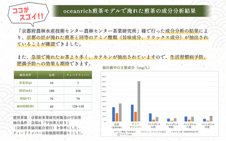 【急須で淹れたようなお茶の味わい】oceanrich Tea dripper 煎茶モデル(家電製品 急須家電 家電人気 キッチン家電 家電ドリッパー 家電10000円)