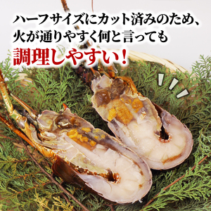 【伊勢海老】 伊勢海老 800g ハーフカット 