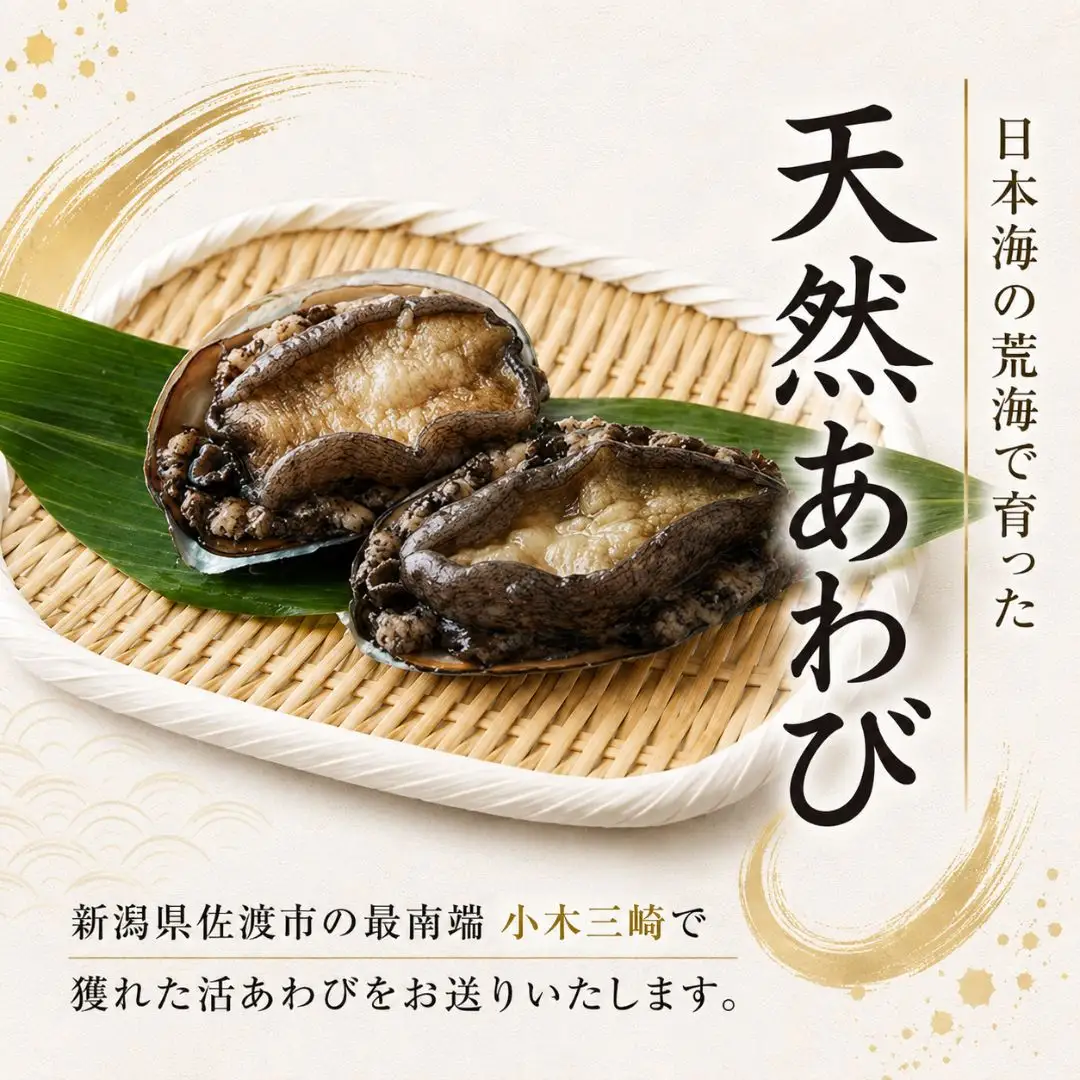 あわび 2枚 200g相当| 天然 新潟県 佐渡市 アワビ