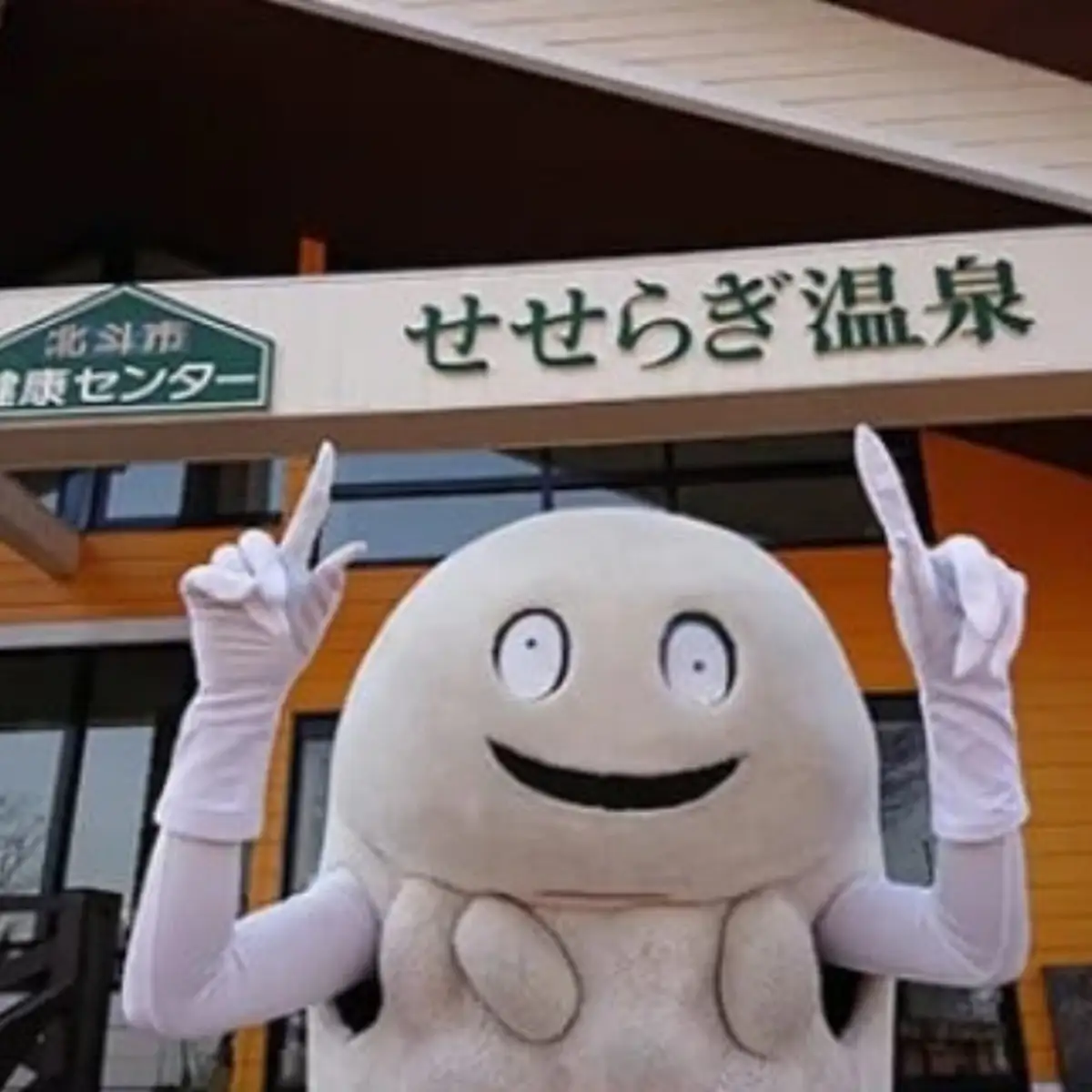 北斗市健康センター　せせらぎ温泉入浴回数券(11枚綴) HOKAI001
