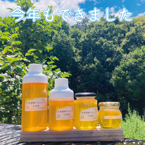 GD008_日本蜜蜂の純粋はちみつ＊西洋蜜蜂のはちみつ　食べ比べセット　140ｇ×各１　日本蜜蜂の蜜蝋４0ｇ付き